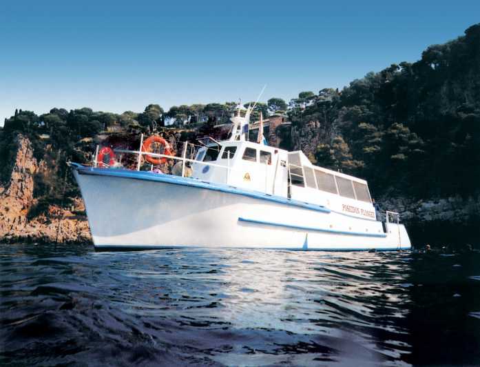 From Nice: Villefranche Bay Swimming & Snorkeling Boat Tour - Key highlights you’ll feel on this tour