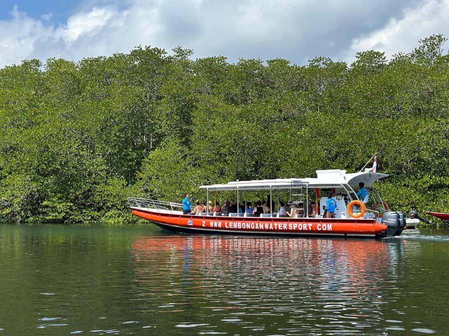 From Nusa Penida: 3 Spots Snorkeling Tour with Manta Rays - Who this tour suits best and who should skip it