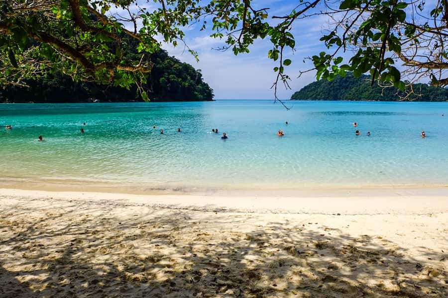 From Phuket/Khaolak: Surin Islands Snorkeling Day Trip - Key Things I’d Plan Around