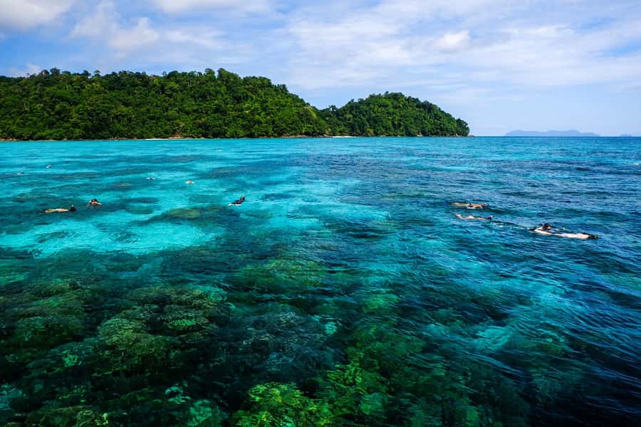 From Phuket/Khaolak: Surin Islands Snorkeling Day Trip - Surin Islands Marine Park: The Reef That Feels Less Chaotic
