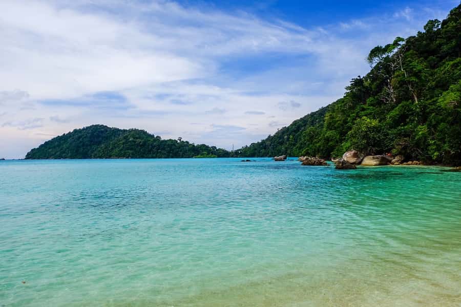 From Phuket/Khaolak: Surin Islands Snorkeling Day Trip - Baby Sharks in Season: What to Expect Between January and April