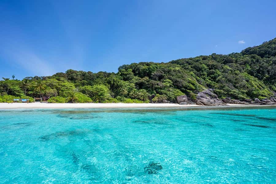 From Phuket: Similan Islands Snorkeling Trip by Speedboat - Food, drinks, and the pace of a 12-hour day