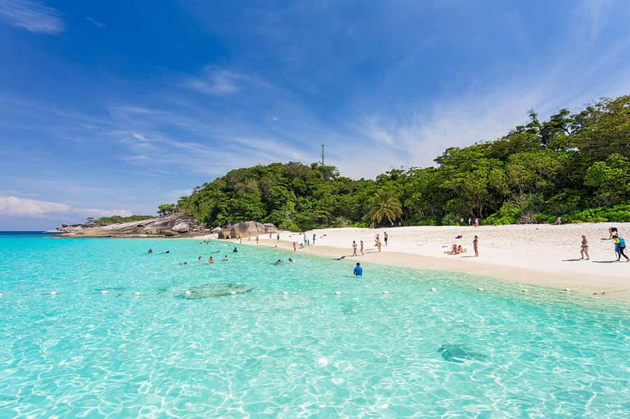 From Phuket: Similan Islands Snorkeling Trip by Speedboat - Koh Payu (Island No.7): coral and fish in clear water