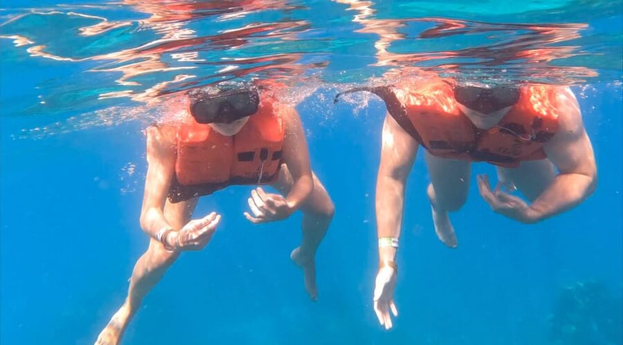 From Punta Cana or Bayahibe: Catalina Island with Snorkeling - Who Should Book This Catalina Day Trip?