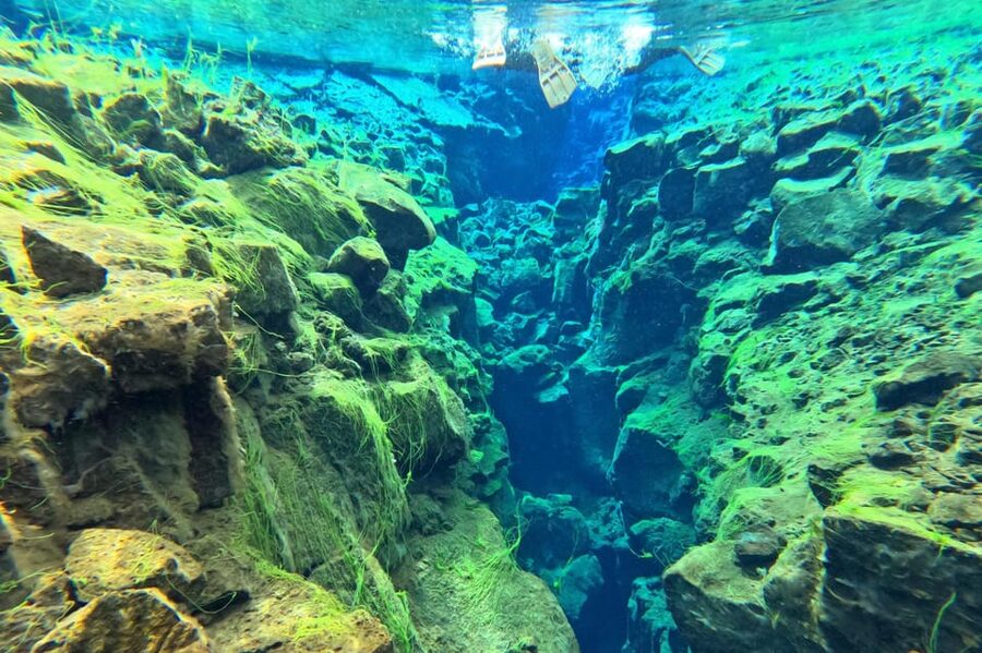 From Reykjavík: Golden Circle Tour and Silfra Snorkeling - Price and value: what $305 really covers