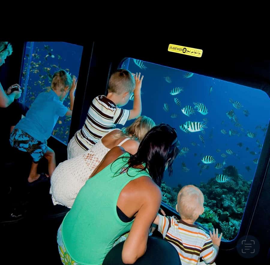 From Safaga: Royal Seascope Submarine with Snorkeling - Key reasons this trip works
