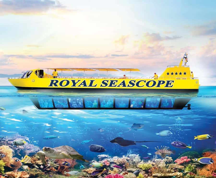 From Safaga: Royal Seascope Submarine with Snorkeling - The 45-minute marine life viewing: the part most people remember