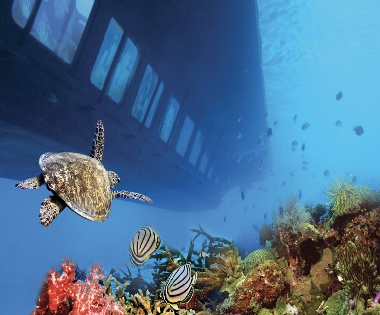 From Safaga: Royal Seascope Submarine with Snorkeling - Price and value: $22 for a reef visit with pickup