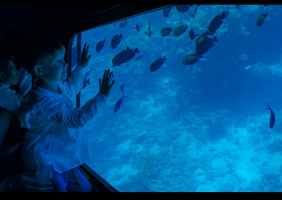 From Safaga: Royal Seascope Submarine with Snorkeling - From Safaga to Makadi Bay: how the timing usually plays out