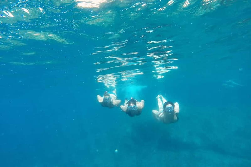 From Sant Feliu de Guíxols: Kayak and Snorkel in Costa Brava - 45 minutes of guided kayaking: cliffs, coves, and group pace