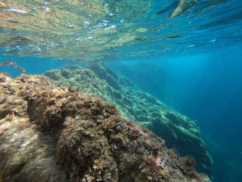 From Sant Feliu de Guíxols: Kayak and Snorkel in Costa Brava - Price and included value: $35 for a two-hour water day with support
