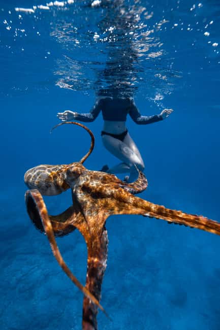 From Waikiki: Turtle Canyon Snorkeling Tour - Included Stuff (and the Few Things You Must Bring)