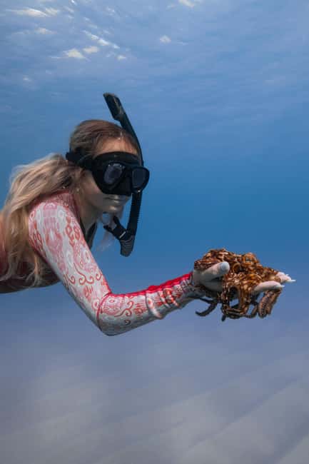 From Waikiki: Turtle Canyon Snorkeling Tour - Price and Value: Is $81 Worth It?