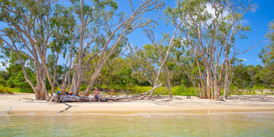 From Yeppoon: Great Keppel Island Snorkeling Hire with Lunch - Shelving Beach and Monkey Beach: the reef access that matters