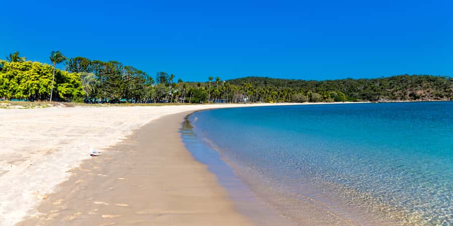 From Yeppoon: Great Keppel Island Snorkeling Hire with Lunch - Choosing among 17 beaches: freedom, plus a walking trade-off