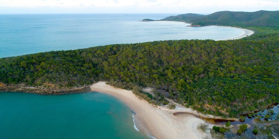 From Yeppoon: Great Keppel Island Snorkeling Hire with Lunch - Stingers, rash suits, and the smart safety mindset
