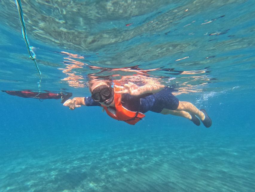 Fuerteventura: Guided Snorkeling in La Lajita with Pickup - Key highlights you’ll feel right away