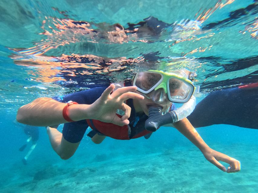 Fuerteventura: Guided Snorkeling in La Lajita with Pickup - What you’ll see: fish, rays, and the sea bed up close