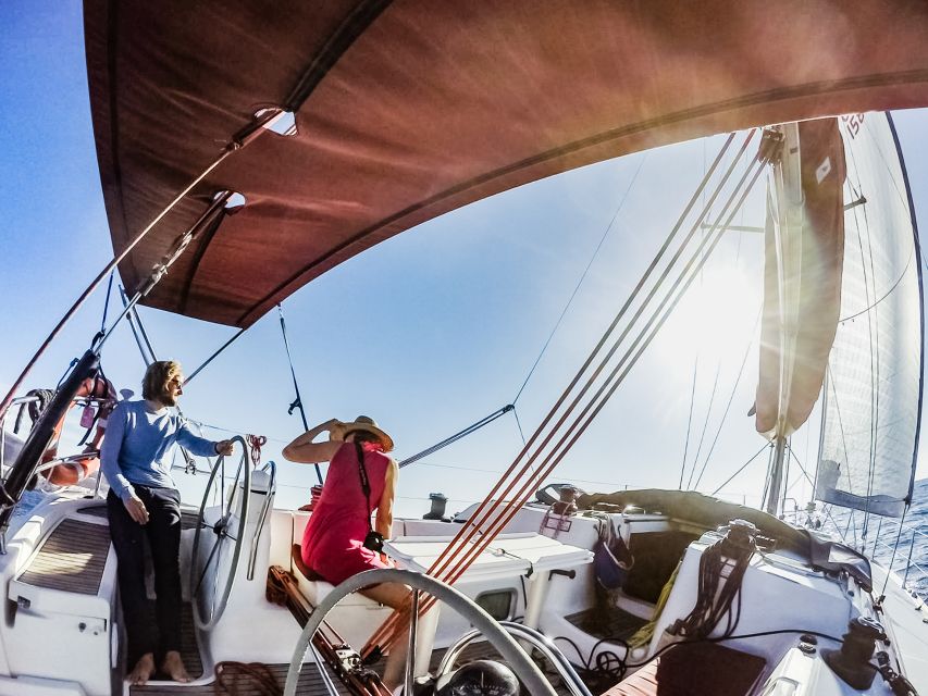 Fuerteventura: Sailing with Snorkeling and Dolphin Watching - Dolphin watching and whale hopes: what to expect when sightings happen