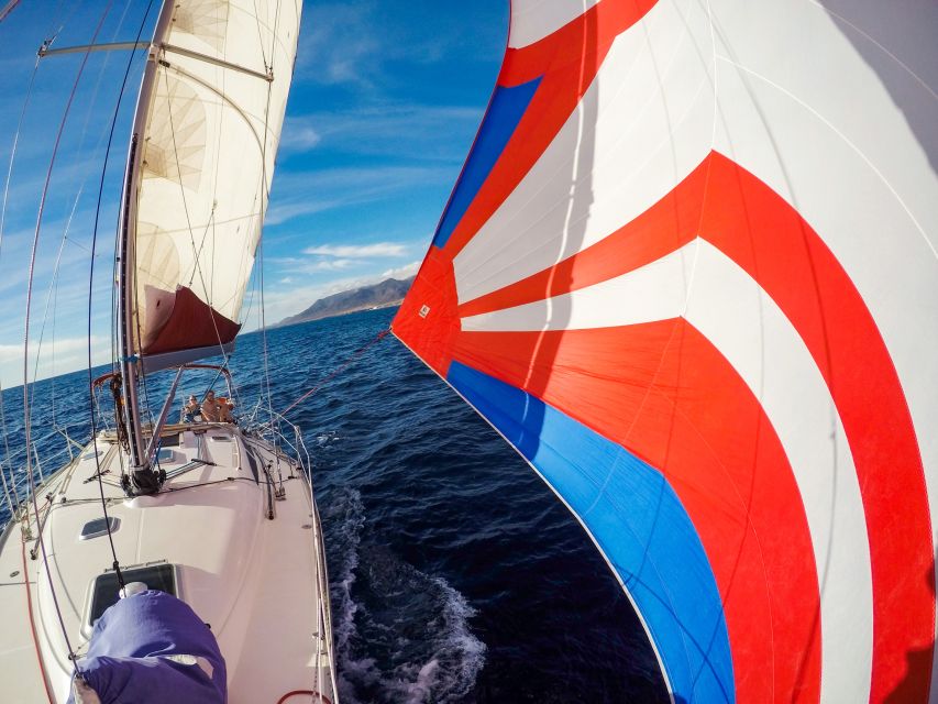 Fuerteventura: Sailing with Snorkeling and Dolphin Watching - The anchored swim and snorkeling time near Morro Jable
