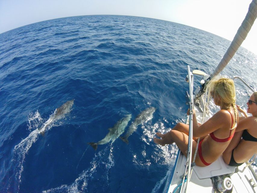 Fuerteventura: Sailing with Snorkeling and Dolphin Watching - Wind jackets, motion, and how to dress for the real sea