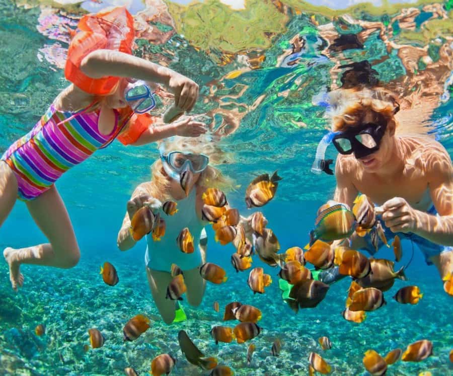 Full Day Barú island: Mangrove +Snorkel + Sunset + Plankton - Freedom Beach Club: the beach base you return to