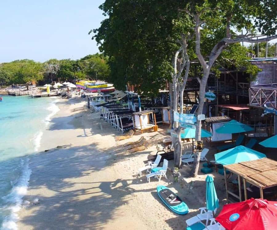 Full Day Barú island: Mangrove +Snorkel + Sunset + Plankton - Lunch: what you’re likely eating at Barú