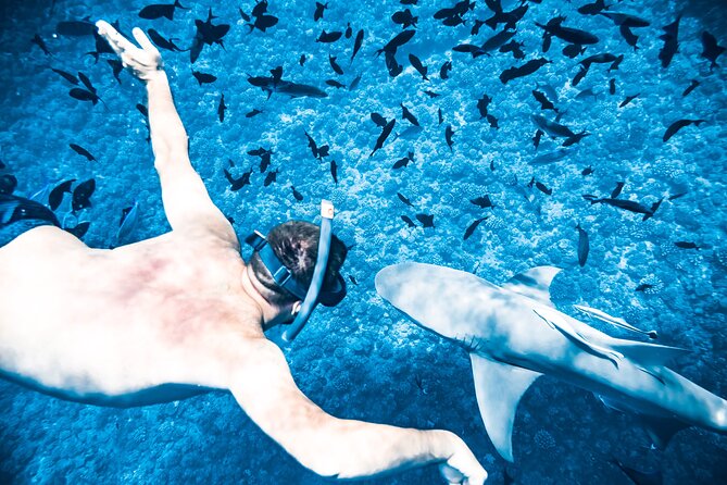 Full-Day Bora Bora Lagoon Cruise Including Snorkeling with Sharks and Stingrays - Manta-Ray Searching: Why the Timing and Multiple Stops Help