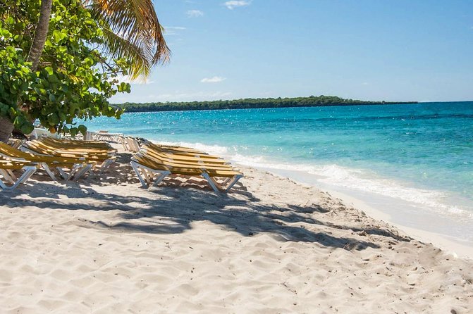 Full-Day Catalina Island Snorkeling Tour from La Romana - Catalina’s west-side beach: the lunch, the downtime, and the reality check