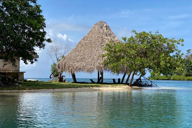 Full-Day Catamaran Sailing Caribbean Beaches with Snorkelling and Lunch - Isla del Padre’s Blue Veins lagoon: calm water, mangroves, and dinghy time