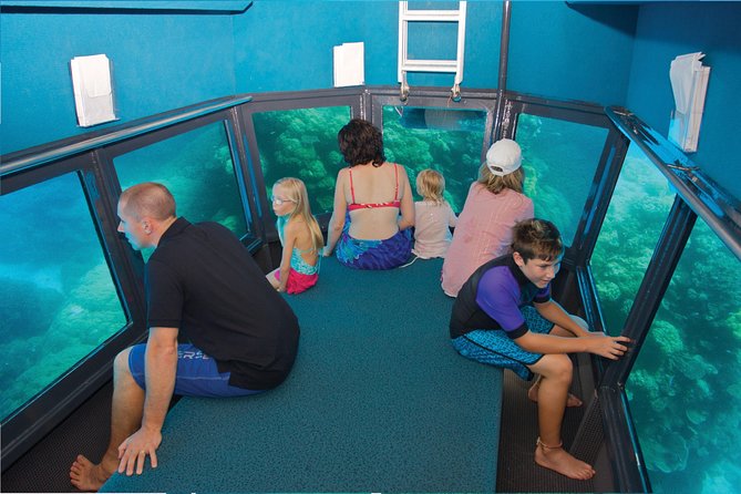 Full-Day Great Barrier Reef Pontoon with Snorkeling & Activities - Reef education plus included meals: a day that doesn’t leave you scrambling