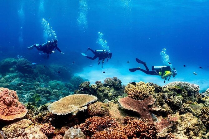 Full-Day Great Barrier Reef Pontoon with Snorkeling & Activities - What you can do on the reef platform (and how long it really feels)