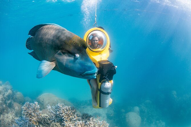 Full-Day Great Barrier Reef Pontoon with Snorkeling & Activities - Crowd levels, changing facilities, and gear tips that save your day