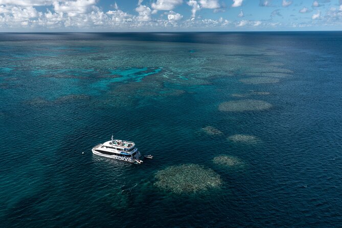 Full-Day Great Barrier Reef Snorkeling from Hamilton Island - Key Things to Know Before You Go