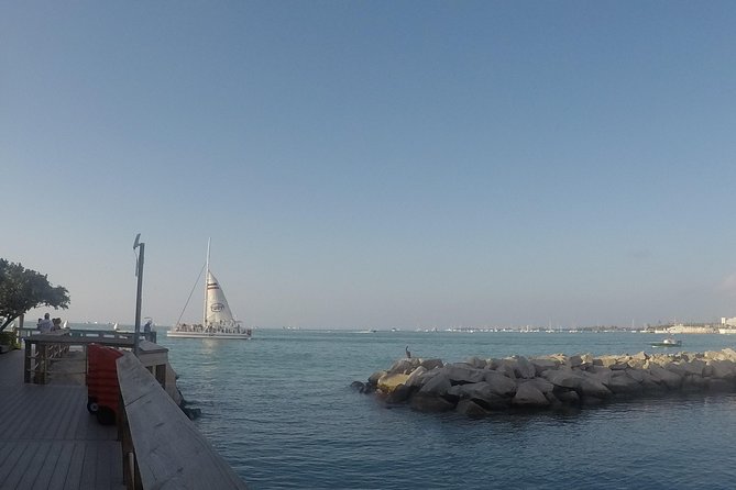 Full-Day Key West Tour and Coral Reef Snorkeling with Open Bar - Catamaran Snorkel Day: Open Bar, Included Gear, and What the Reef Time Really Means