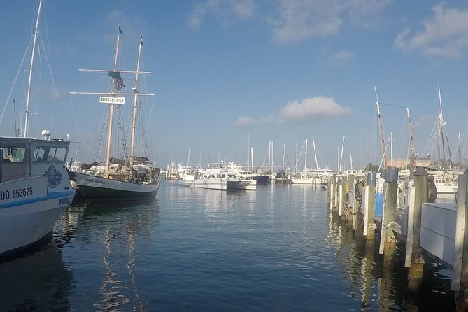 Full-Day Key West Tour and Coral Reef Snorkeling with Open Bar - Who This Trip Is Best For (And Who Should Skip It)