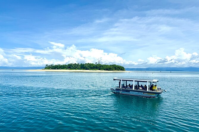 Full Day Low Isles Sailing & Snorkelling Cruise from Port Douglas - The glass-bottom boat with EV Discovery: what you see without getting wet