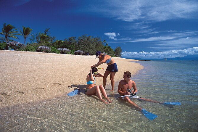 Full Day Low Isles Sailing & Snorkelling Cruise from Port Douglas - Why the Low Isles route feels less hectic than typical reef tours