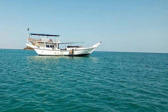 Full Day Musandam Cruise with Lunch and Snorkelling from Dubai - Time vs value: the bus ride reality check