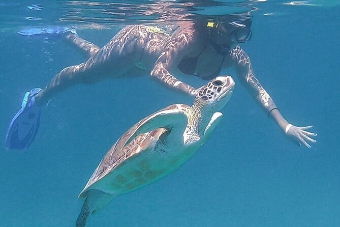 Full-Day Snorkeling Tour to Culebra Island with Lunch - Lunch, snacks, and the drinks that keep the day easy