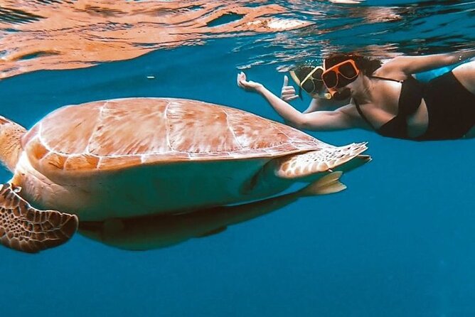 Full-Day Snorkeling Tour to Culebra Island with Lunch - Paddleboards included: good for fun and confidence