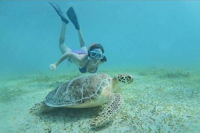 Full-Day Snorkeling Tour to Culebra Island with Lunch - Getting there from Fajardo: early check-in, real timing