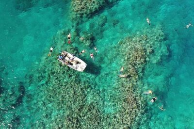 Full Day Snorkelling Cruise in Tranquility Island Resort - Tranquility Island: Turtle Work, White Sand, and a Real Sense of Purpose