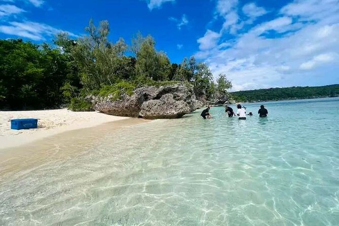 Full Day Snorkelling Cruise in Tranquility Island Resort - Moso Island: Reef Time With the Most Consistent Payoff