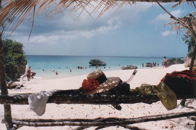 Full Day Snorkelling Cruise in Tranquility Island Resort - BBQ Lunch on the Beach: Where the Day Actually Feels Like a Holiday