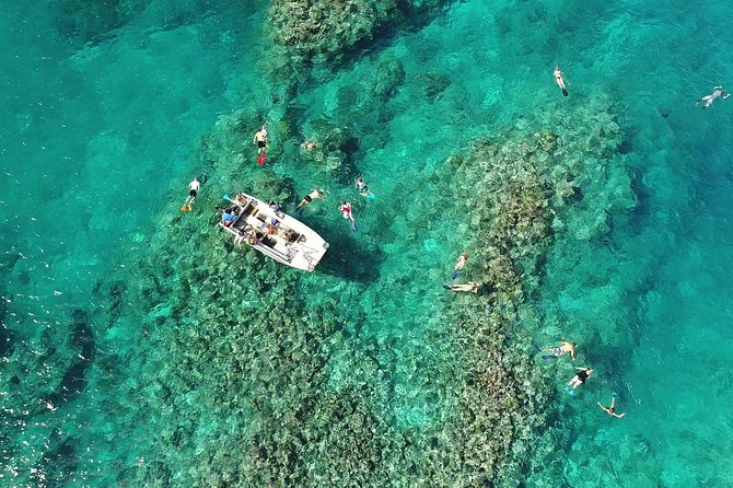 Full Day Snorkelling Cruise in Tranquility Island Resort - Tranquility Island: Turtle Work, White Sand, and a Real Sense of Purpose