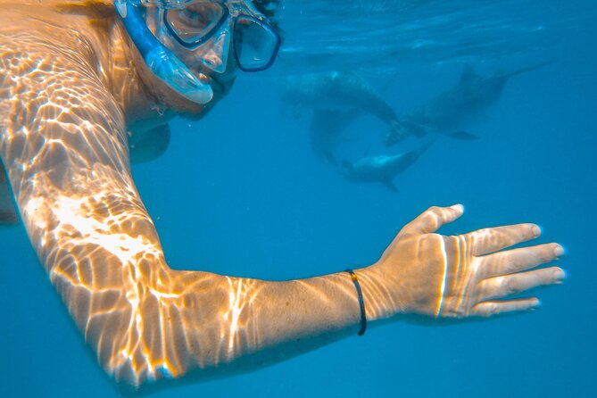Full-Day Special Wasini Island Tour with Snorkeling and Lunch - Key highlights I’d bank on