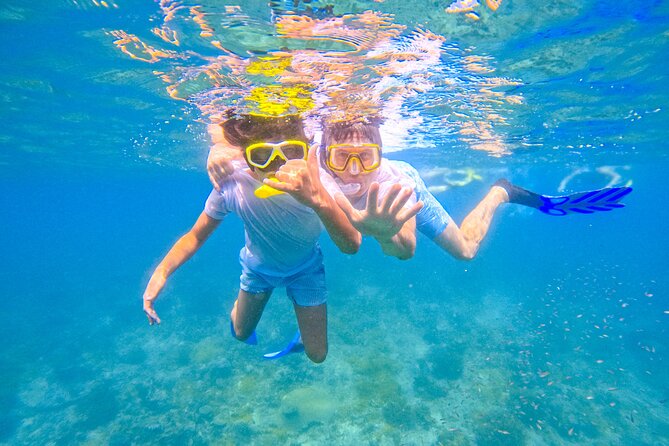 Full-Day Special Wasini Island Tour with Snorkeling and Lunch - Group size and private-tour feel: what you can expect on the boat
