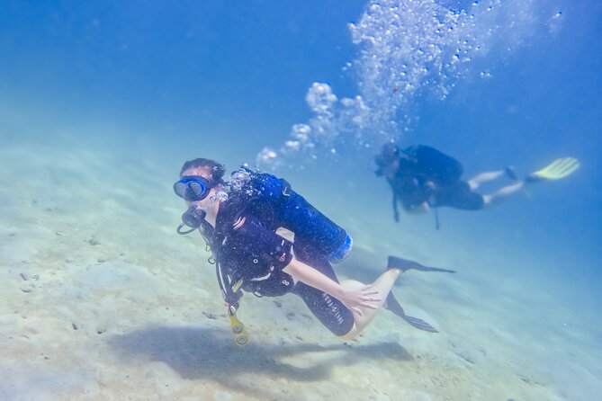 Full-Day Special Wasini Island Tour with Snorkeling and Lunch - Price and Logistics: the one trade-off you should plan for