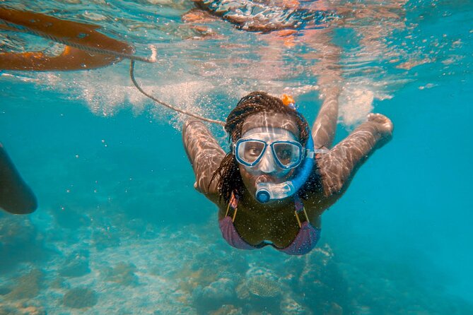 Full-Day Special Wasini Island Tour with Snorkeling and Lunch - Slave Caves: quick timing, important context